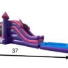 Bounce 2025(5) Princess Dual Lane (3 in 1 combo bounce with pool)